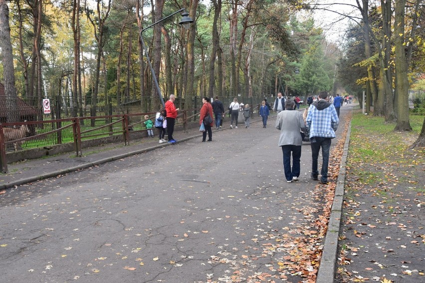W niedzielę park odwiedziły tłumy mieszkańców Zagłębia....