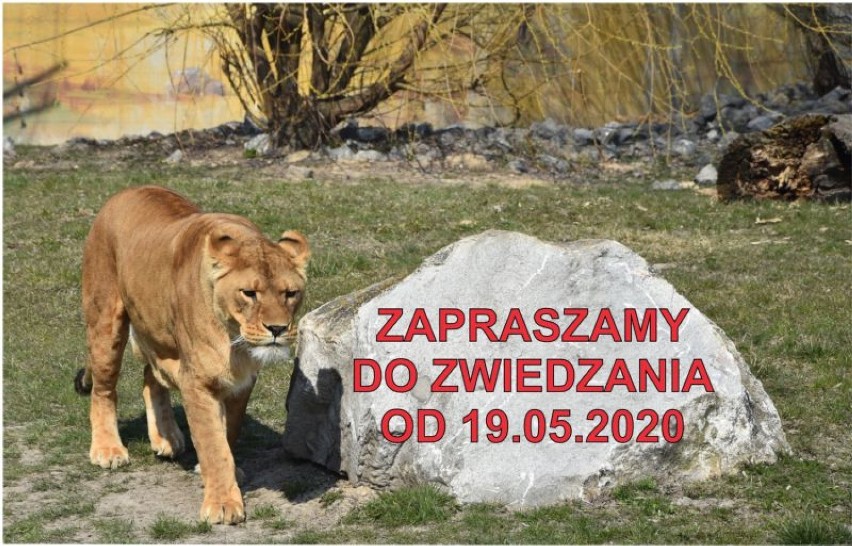 Zamojski Ogród Zoologiczny