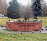 Dąbrowa Górnicza: Dokarmiasz gołębie w Parku Hallera? Tylko nie śmieć!