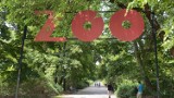 Tego nie wolno robić w zoo. Jakie zasady obowiązują w warszawskim ogrodzie zoologicznym? 