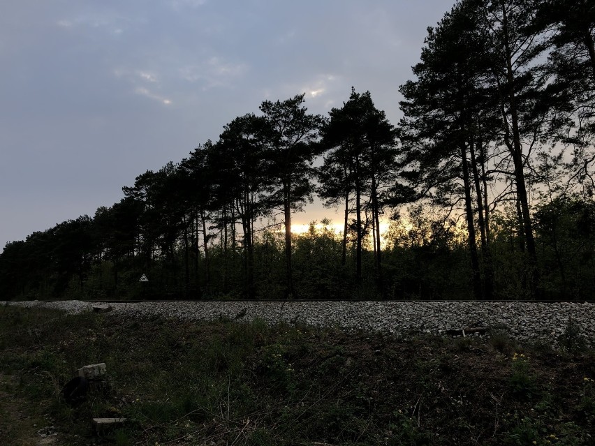 Zdjęcia wykonane podczas majowego spaceru z osiedla Zacisze...