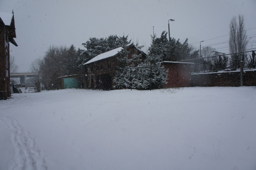 Posypało śniegiem w Toruniu