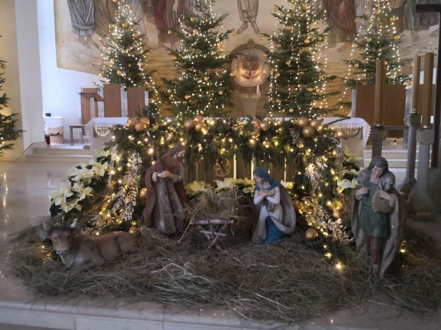 Bożonarodzeniowy wystrój kościoła pod wezwaniem świętego Brata Alberta w Busku-Zdroju w wigilię 2022.

>>>Więcej zdjęć na kolejnych slajdach 