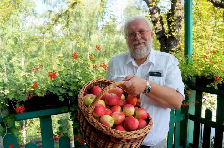 ZOO Wrocław rozda w weekend jabłka