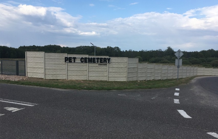 "Petcemetery"pod Nekielką to pierwszy i póki co jedyny...