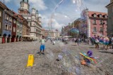 Poznań na liście 12 najbardziej baśniowych miast Europy! Zobacz zestawienie dziennika "The Mirror"