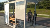 Tarnów. Dwie nastolatki demolowały przystanek autobusowy na ulicy Wojska Polskiego. Świadek wezwał straż miejską