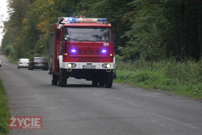 Zderzenie aut na drodze Krotoszyn-Sulmierzyce. Dwie osoby trafiły do szpitala [ZDJĘCIA]             