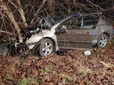 Wypadek w Łowiczu. Nietrzeźwy kierowca rozbił auto na drzewie [ZDJĘCIA]