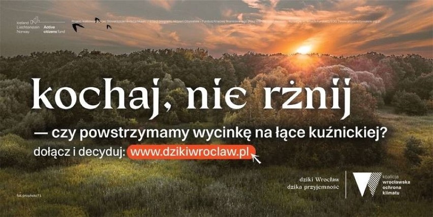 Jedna z największych we Wrocławiu kampanii ekologicznych...