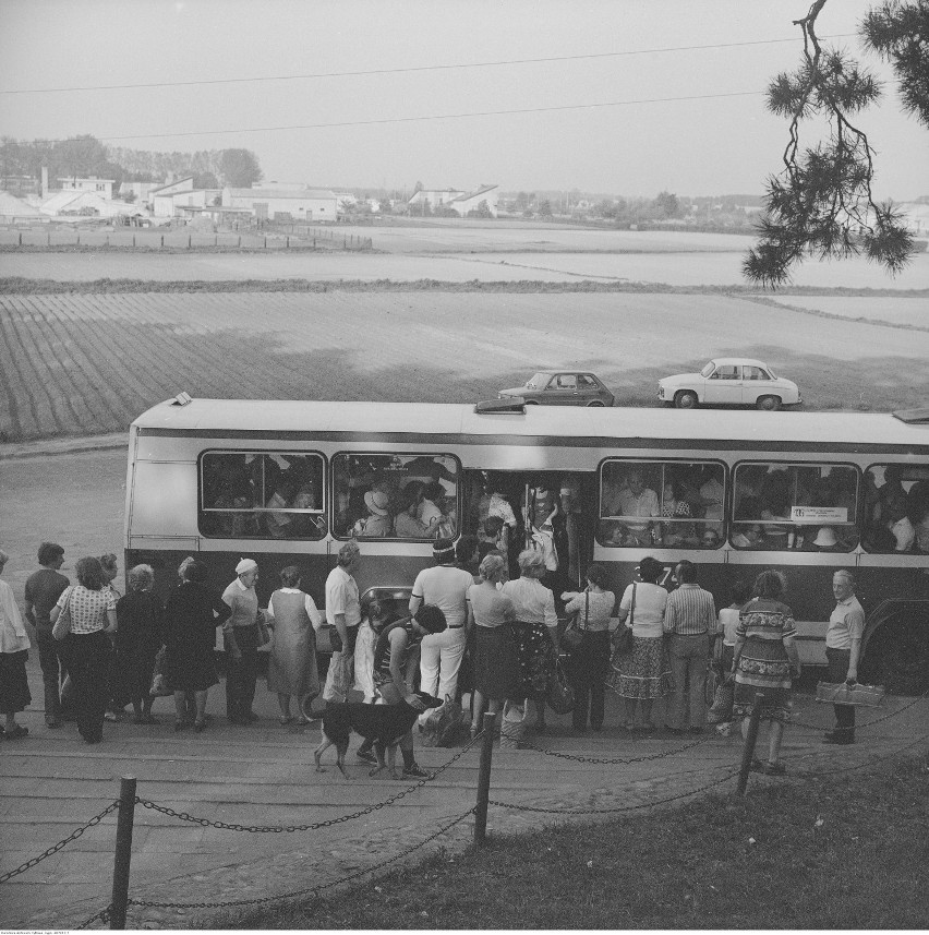 Tłum osób wsiadających do autobusu Jelcz Berliet PR100 linii...
