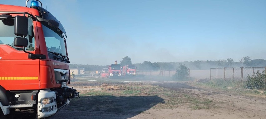 Pożar w Adolfowie pod Chodzieżą. Do walki z ogniem wysłano ponad 30 zastępów straży w tym jednostki z Wągrowca, Gołańczy i Skoków