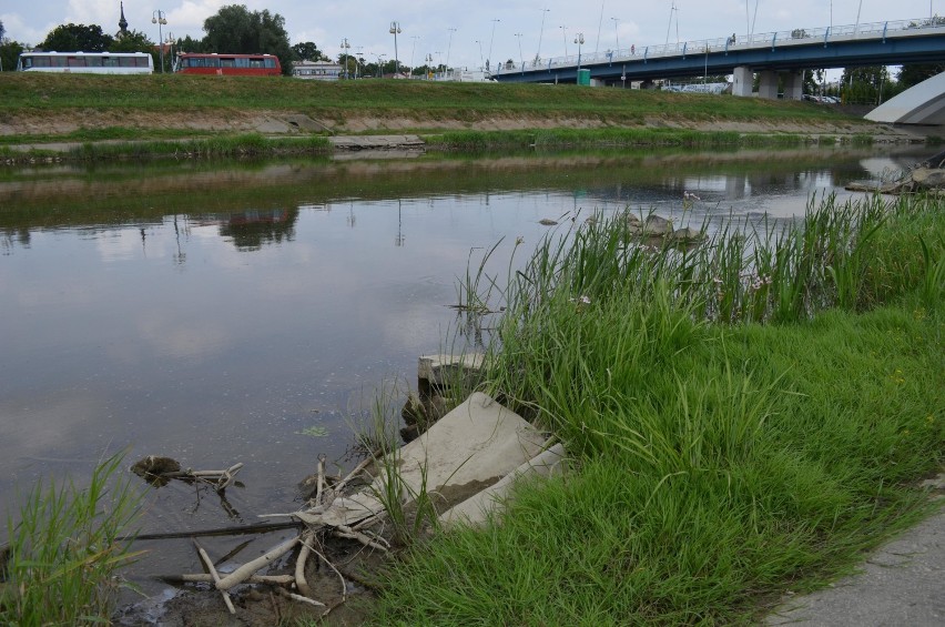 Bardzo niski stan Wisłoka w Rzeszowie. Woda sięga do 50 cm. Zobacz, co wyłania się z rzeki [ZDJĘCIA]