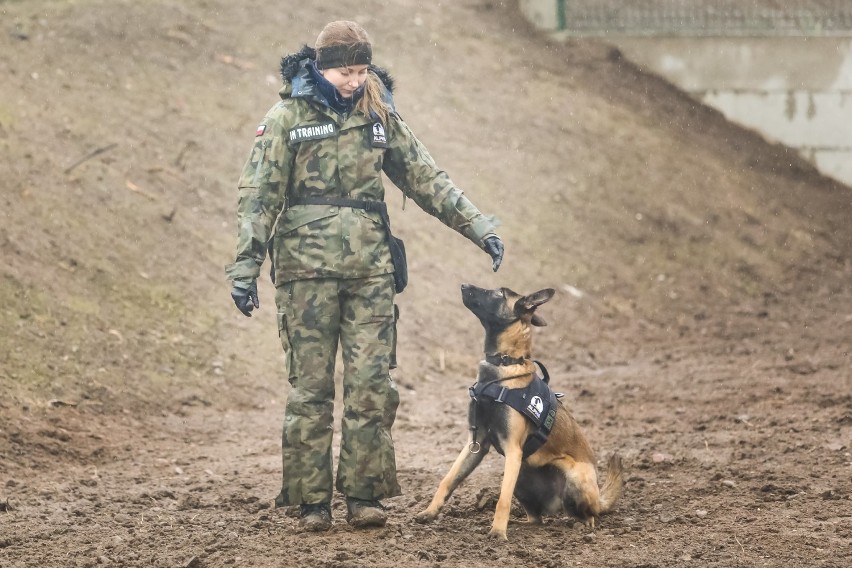 Psi Park w Augustowie. Nie byliście ze swoim pupilem, to zobaczcie jak wygląda [Zdjęcia]