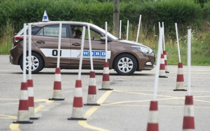 Prawo jazdy w Łodzi. Ile kosztuje? Jak wygląda poziom zdawalności w Łodzi egzaminu teoretycznego, a jak praktycznego? Sprawdź!