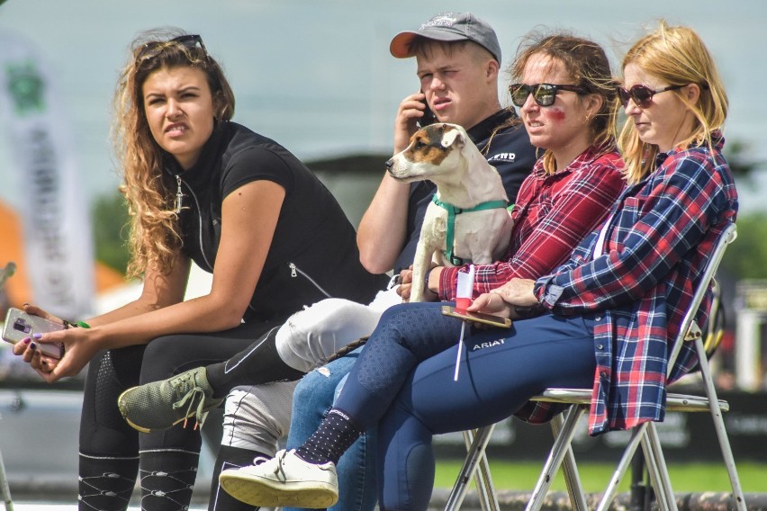 Kibice i atrakcje na Festiwalu Jeździeckim Baborówko [ZDJĘCIA]