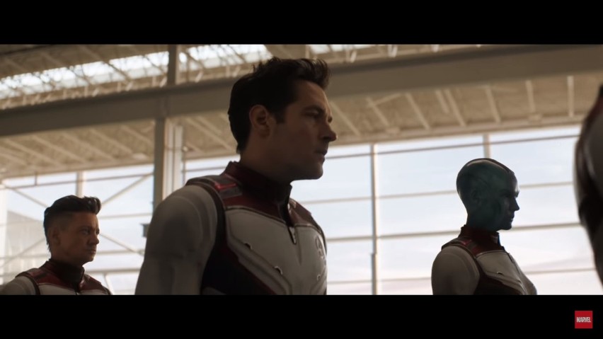 Avengers: Endgame

Wielki finał podsumowujący filmy...