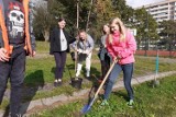 Zazieleni się przy szkołach i przedszkolach w Jastrzębiu-Zdroju. Młodzież posadziła kilkaset drzew i krzewów. To akcja z okazji Dnia Drzewa