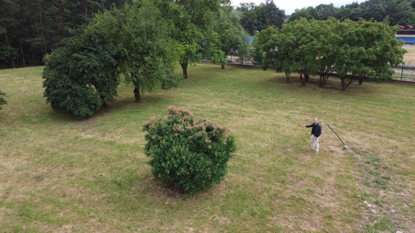 Wyjątkowy plac zabaw powstanie na Pakoszu w Kielcach. W jednym miejscu będzie mnóstwo atrakcji  