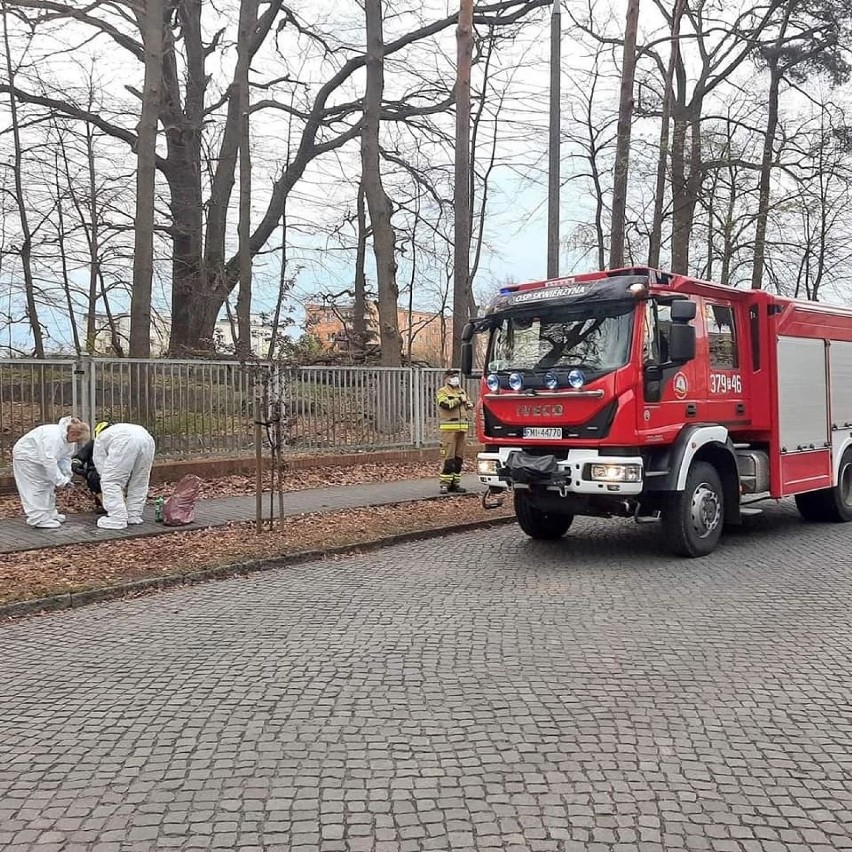 Strażacy z OSP Skwierzyna w czwartek 29 kwietnia o godzinie...