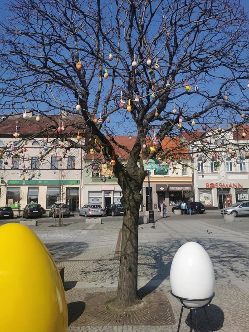 Pleszew. Na drzewach w rynku pojawiły się kolorowe jajka