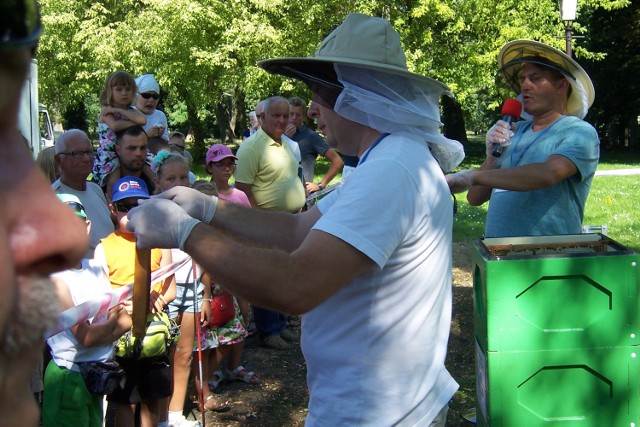 Tak było na Kaliskim Miodobraniu przed rokiem