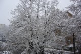 Zima w Polkowicach