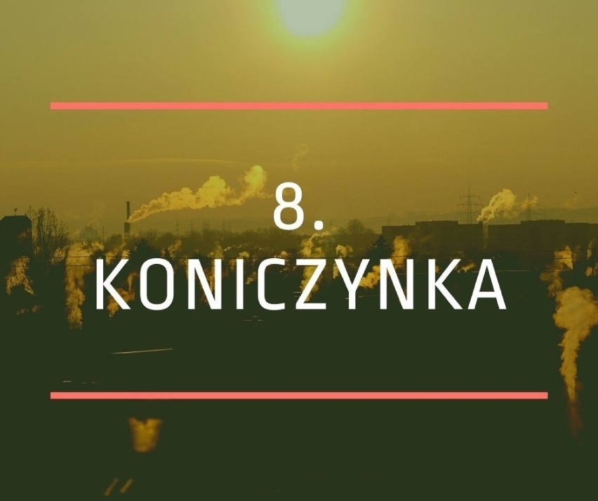 8. Koniczynka (powiat toruński, gmina Łysomice)...