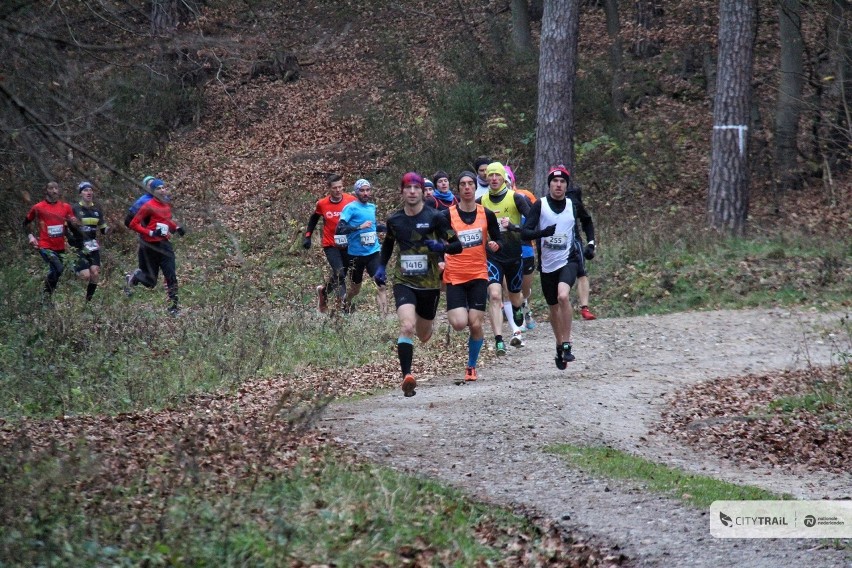 City Trail Trójmiasto na trasie w Gdyni - 24 listopada 2019...