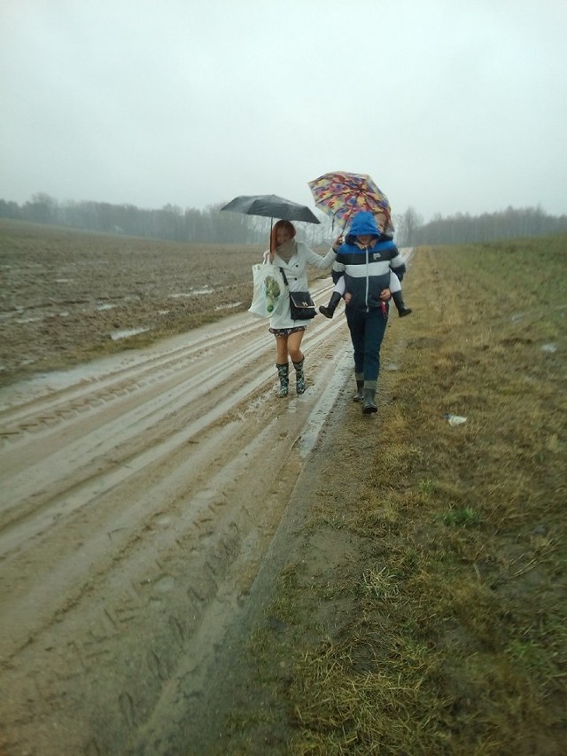 To najlepszy odcinek drogi. 
Na bardziej błotniste jej odcinki fotoreporter nie mógł się zapuścić. Nie miał kaloszy. 