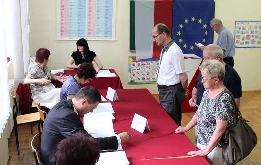 Wybory do Europarlamentu 2014 [zdjęcia]