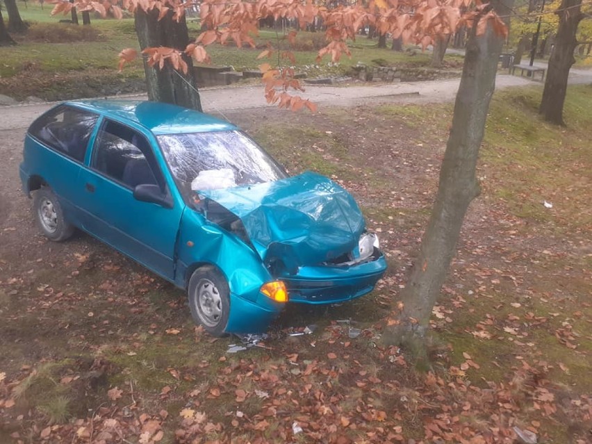 Samochód wjechał do parku i rozbił się na drzewie! [ZDJĘCIA]