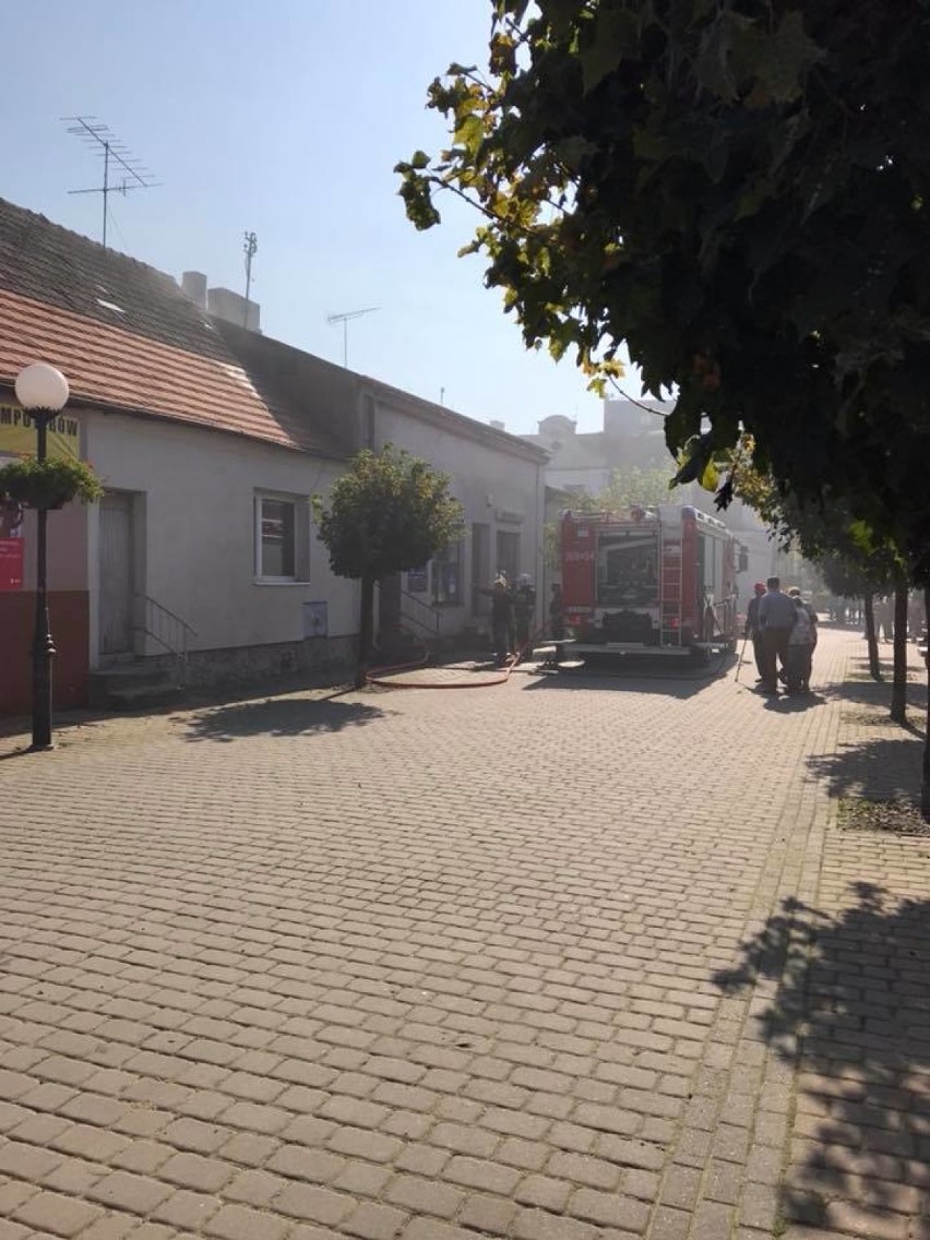 Straż pożarna podała przyczynę pożaru w Brześciu Kujawskim [zdjęcia]