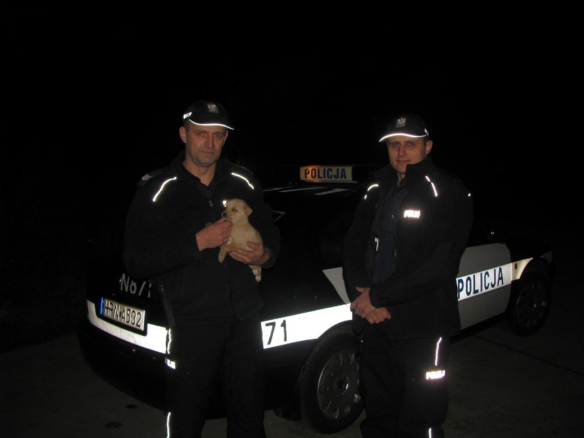 Policjanci z Lęborka uratowali zmarzniętego szczeniaczka