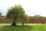 Wiosna na zamojskich Plantach. Stąd rozciąga się piękna panorama na dawną twierdzę