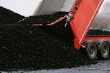100 ton węgla przyjechało do Konina. Na razie to tylko ułamek z całości. Urząd prosi o cierpliwość