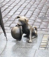 Ulice Chełmińskie są w różnych miastach Polski. Jak wyglądają? Zdjęcia Google Street View