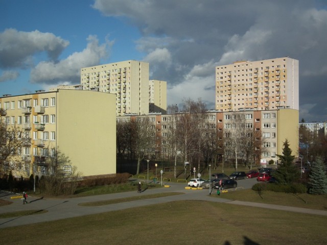 Niektórzy spółdzielcy domagają się, by właściciele czworonogów więcej płacili za użytkowanie wind w blokach, inny chcą, by zwierzęta nie biegały bez uwięzi po górce na os. Wichrowe Wzgórze.