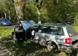 Kierowca uderzył w drzewo w Dzierzgoniu. Zmarł po przewiezieniu do szpitala