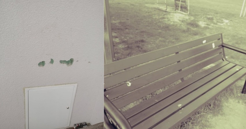 Zniszczono ławkę i elewację świetlicy w Drobnicach. Stowarzyszenie apeluje do wandali, by zgłosili się sami