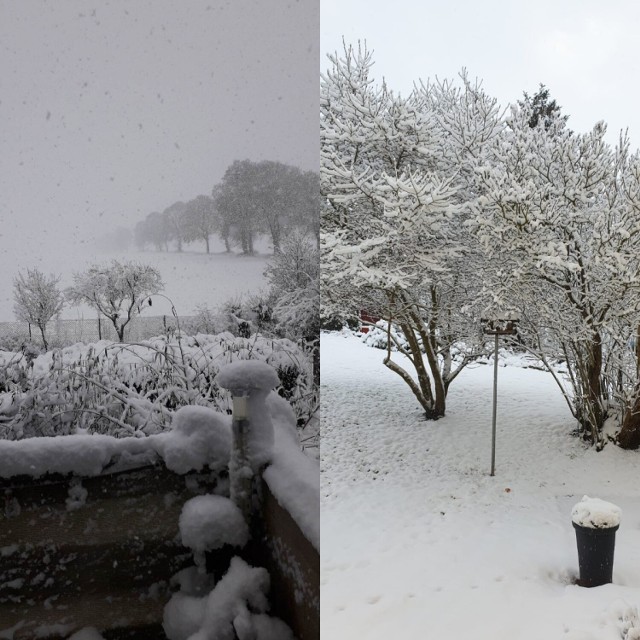 Śnieżna zima powróciła do powiatu sławieńskiego. W nocy z 8/9 grudnia meteorolodzy zapowiadają mróz, do nawet -7 stopni.