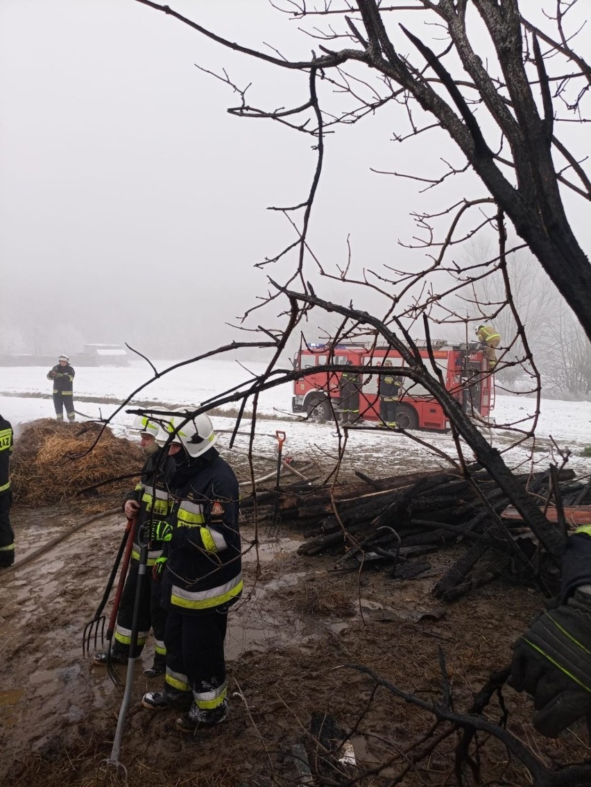 Pożar w miejscowości Zarośle w Gminie Rogóźno wybuchł we...