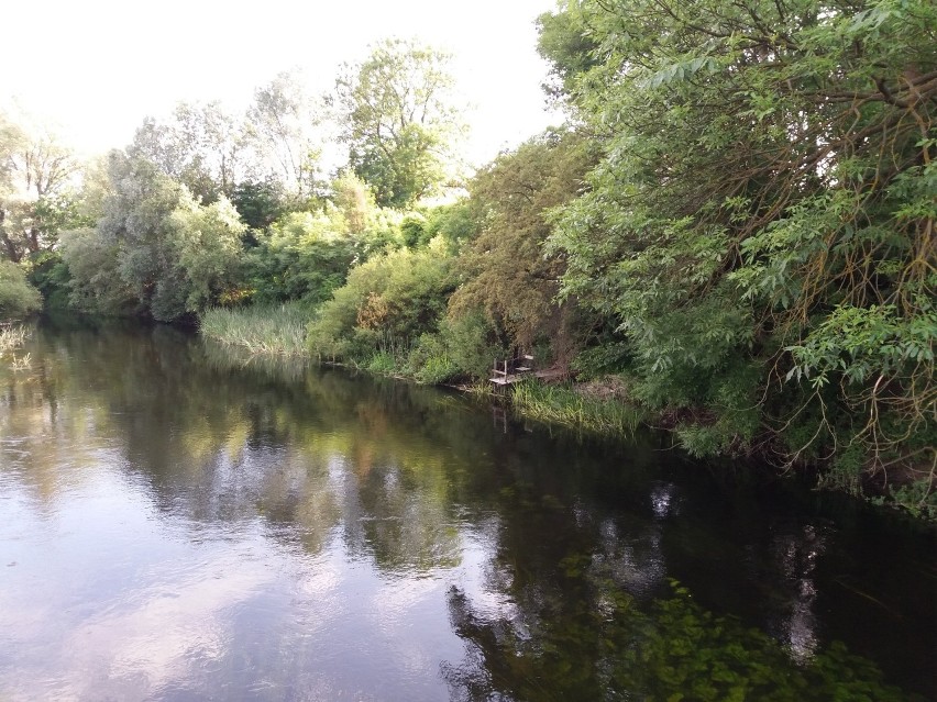 Klimatyczne wędkarskie przystanie nad Obrą.