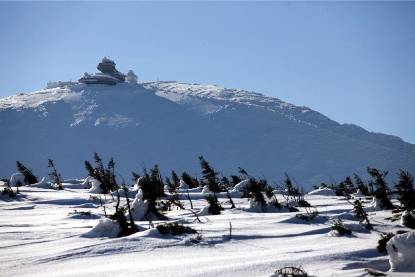 Śnieżka