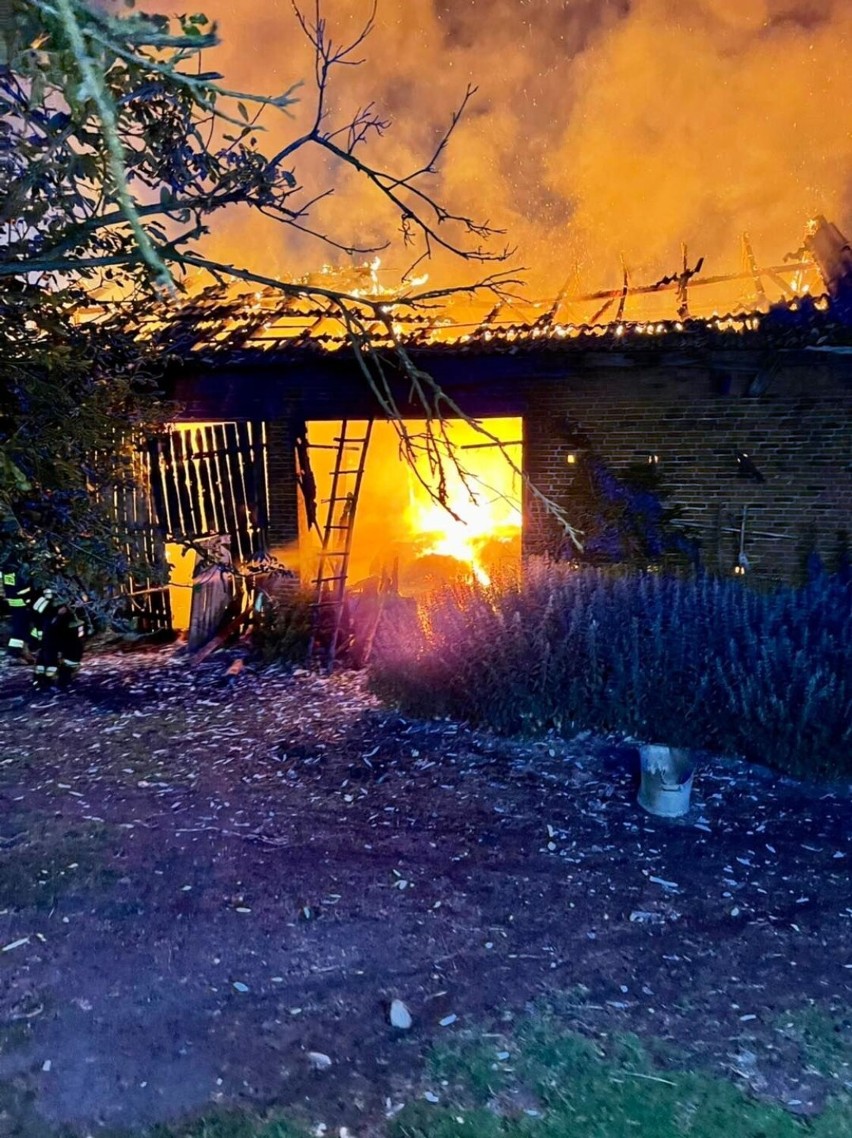 Pożar w miejscowości Dąbrowa Rusiecka, 26 lipca 2022