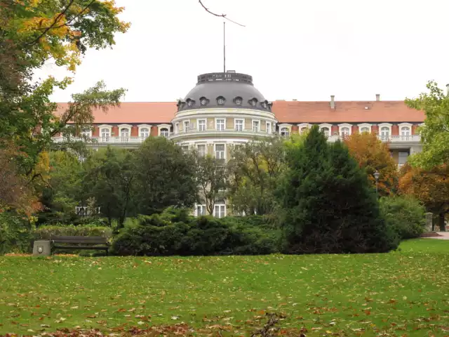 Była to jedna z największych inwestycji w regionie i największa w dziejach podwałbrzyskiego uzdrowiska, a jej budowę oraz założenie okalającego ją ogrodu zawdzięczamy właścicielowi Książa - Janowi Henrykowi XV Hochbergowi, księciu von Pless.