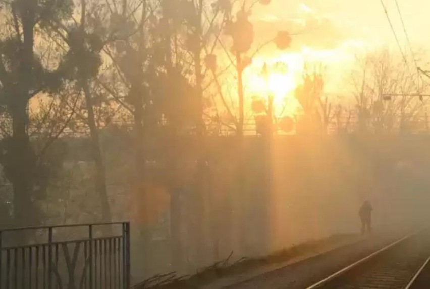 SMOG na Twoim osiedlu. Czym dziś oddychamy we Wrocławiu? [WYNIKI POMIARÓW NA ŻYWO]