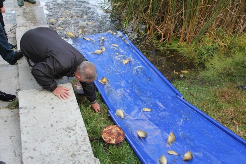 Piknik wędkarski nad Zalewem Kraśnickim