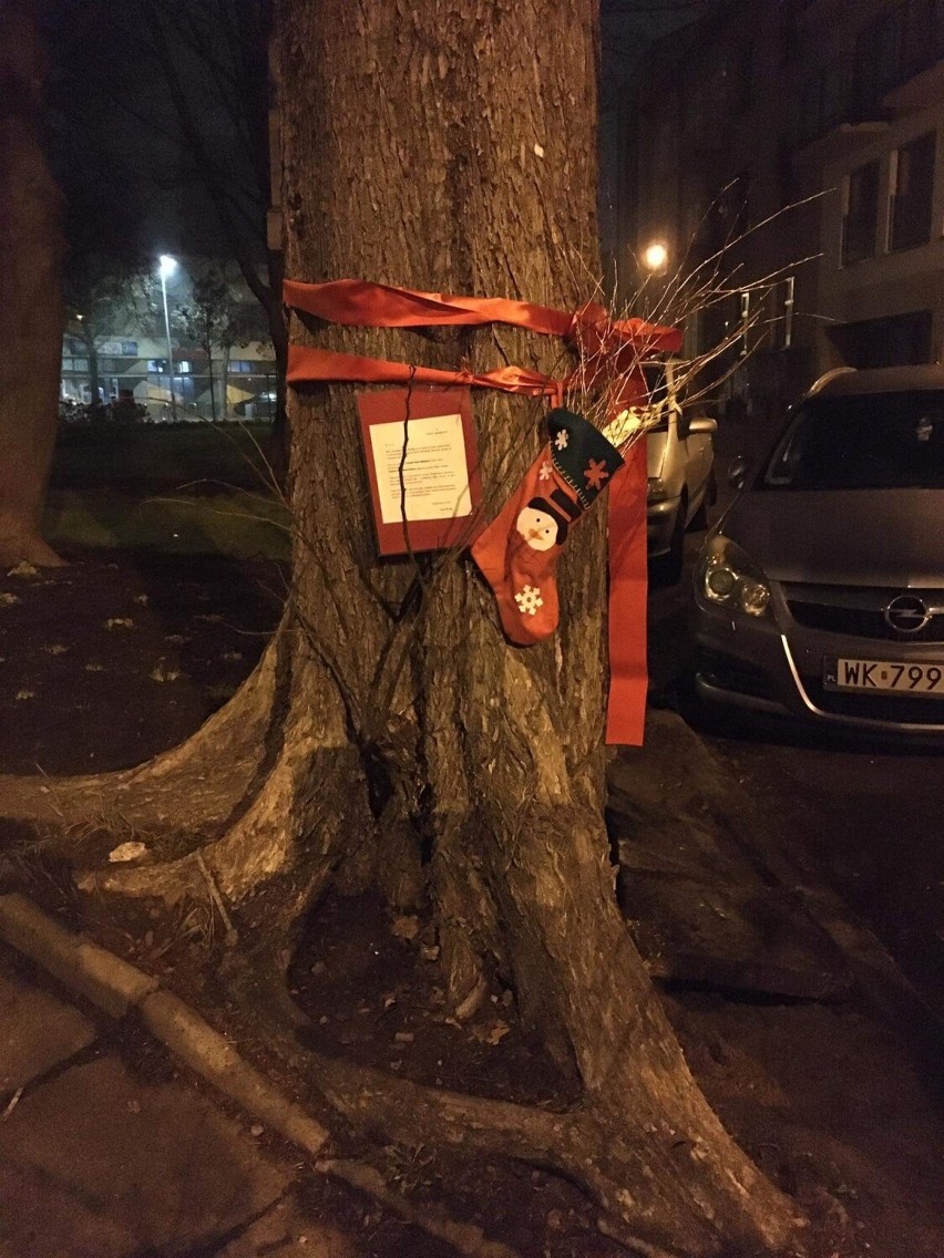 Kraków. Rózga dla ZZM i ZMDK. Elfy Mikołaja uwolniły korzenie drzewa od ciężaru betonowych płyt