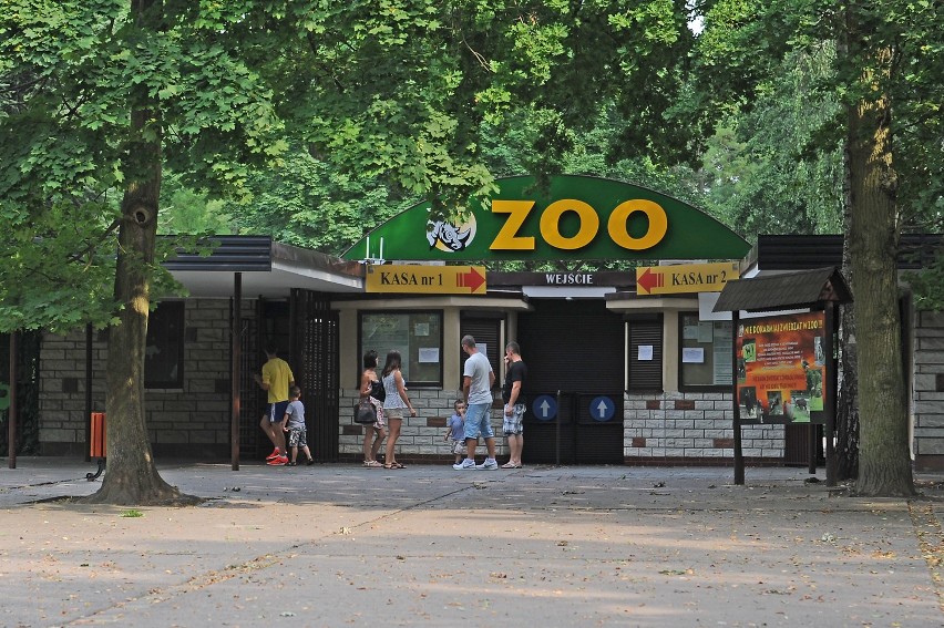 Burza w Poznaniu: Skutki nawałnicy w nowym zoo